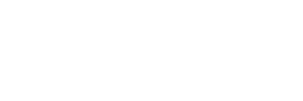 Deep Consulting